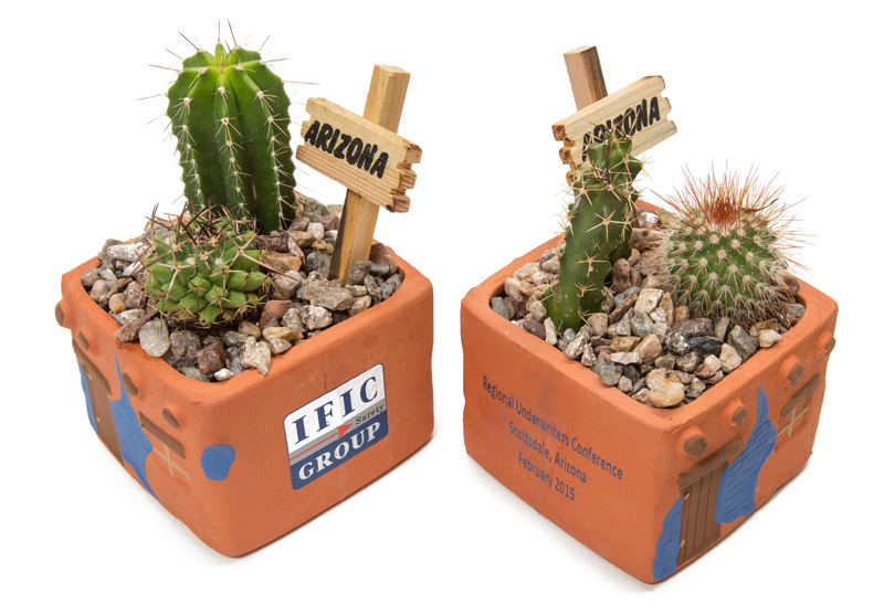 custom live cactus promotional gifts